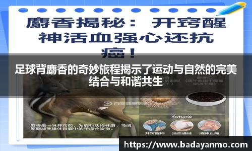 足球背麝香的奇妙旅程揭示了运动与自然的完美结合与和谐共生